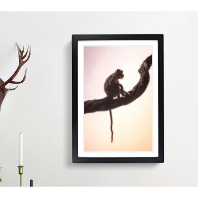 Long-Tailed Macaque Monkey in Abstract - Framed Print