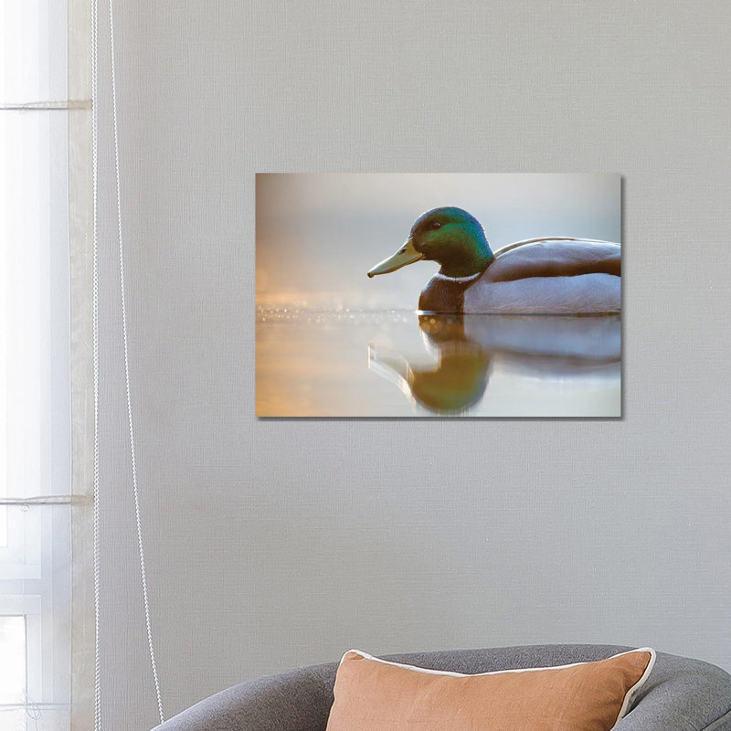 Mallard 1 Piece Wrapped Canvas Wall Art, 66.04 cm H x 45.72 cm W x 1.91 cm D