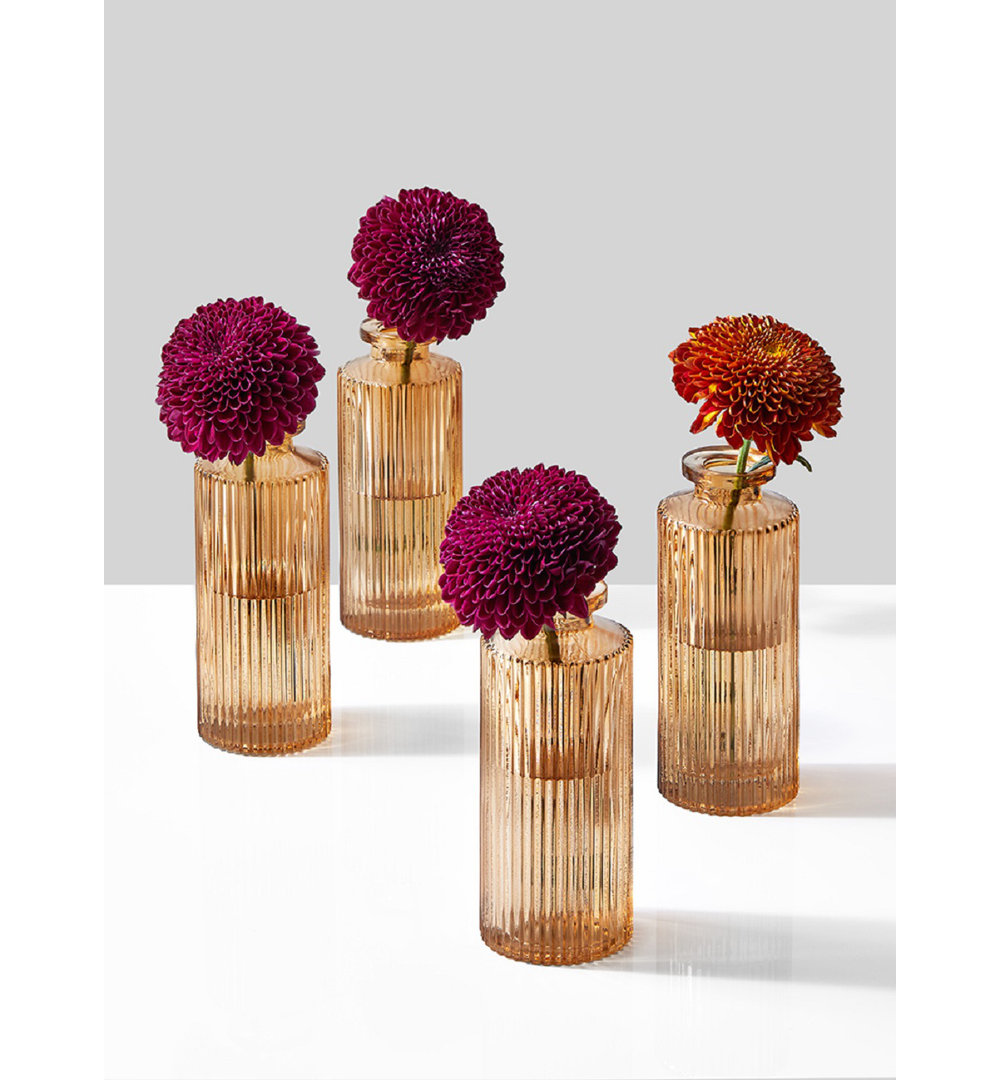 4 Piece  Glass Table Vase Set (Set of 4) Everly Quinn 