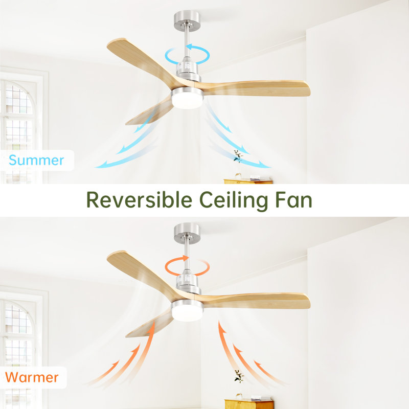 Indoor 52 Inch Ceiling Fan With Dimmable Led Light 6 Speed Remote 3 Wood Blade Reversible DC Motor For Bedroom