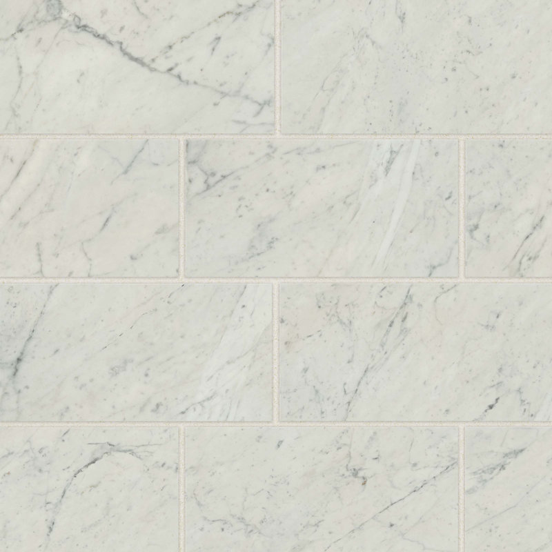 Carreau de porcelaine 12 po x 24 po Bianco Carrara