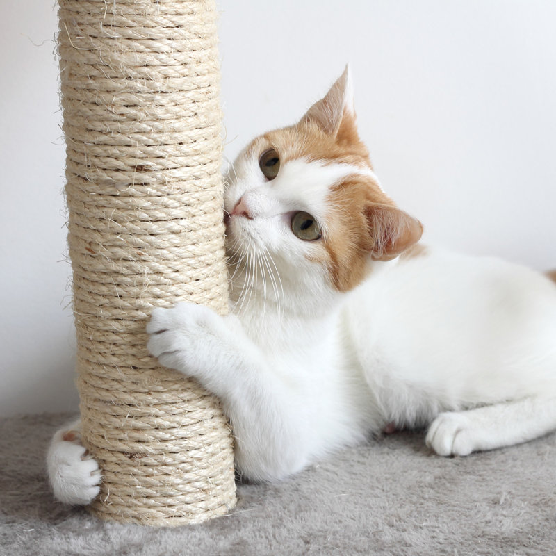 PETMAKER Cat Scratching Post - Scratcher Posts with Carpeted Scratch Pad Base and Perch - Furniture Scratching Deterrent for Indoor Cats