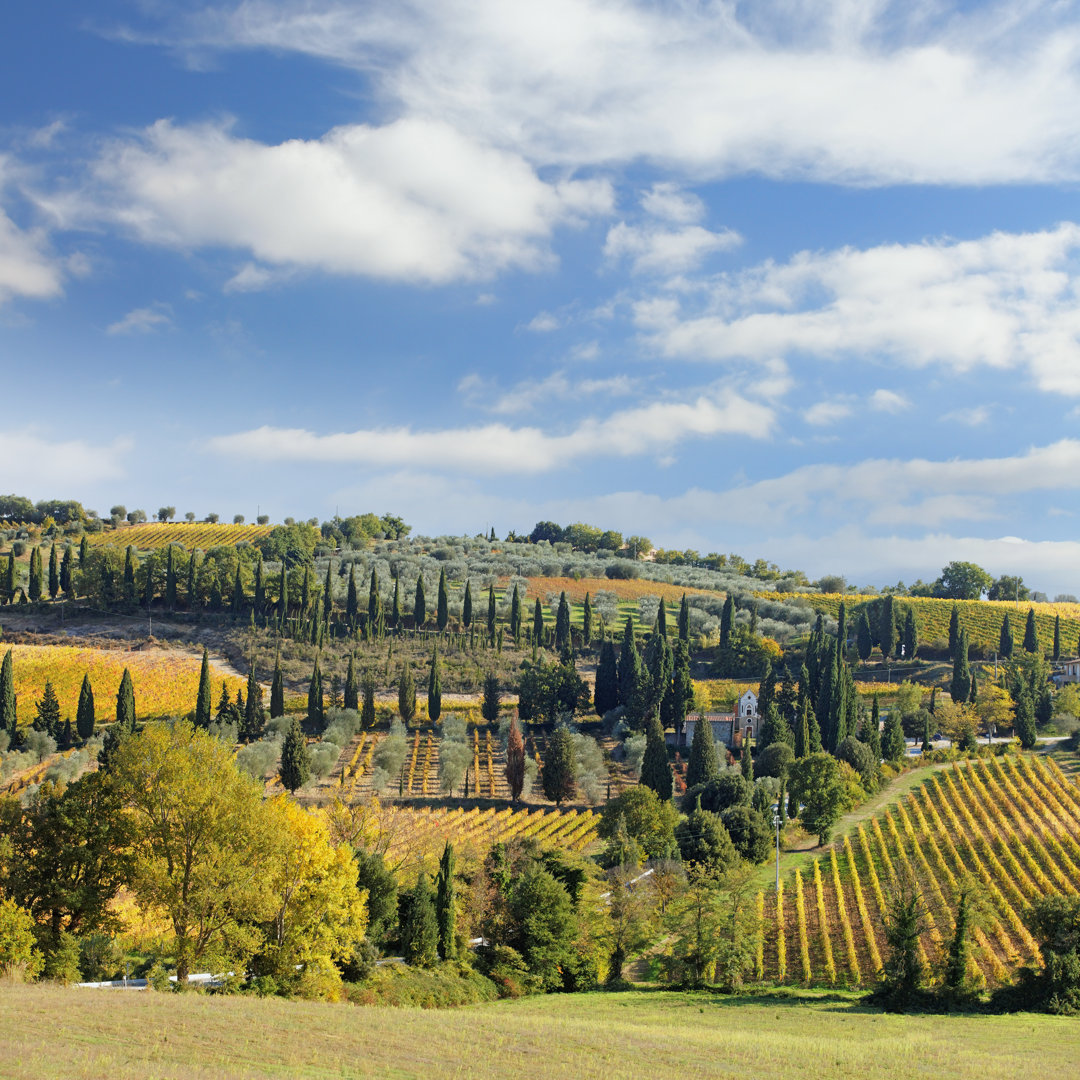 Toskanische Landschaft mit Weinbergen