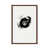 Classic Wood Framed selected