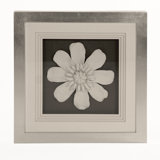 Ceramic Flower Print