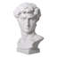 David Bust