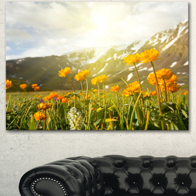 " Mountain Pasture With Yellow Flowers "