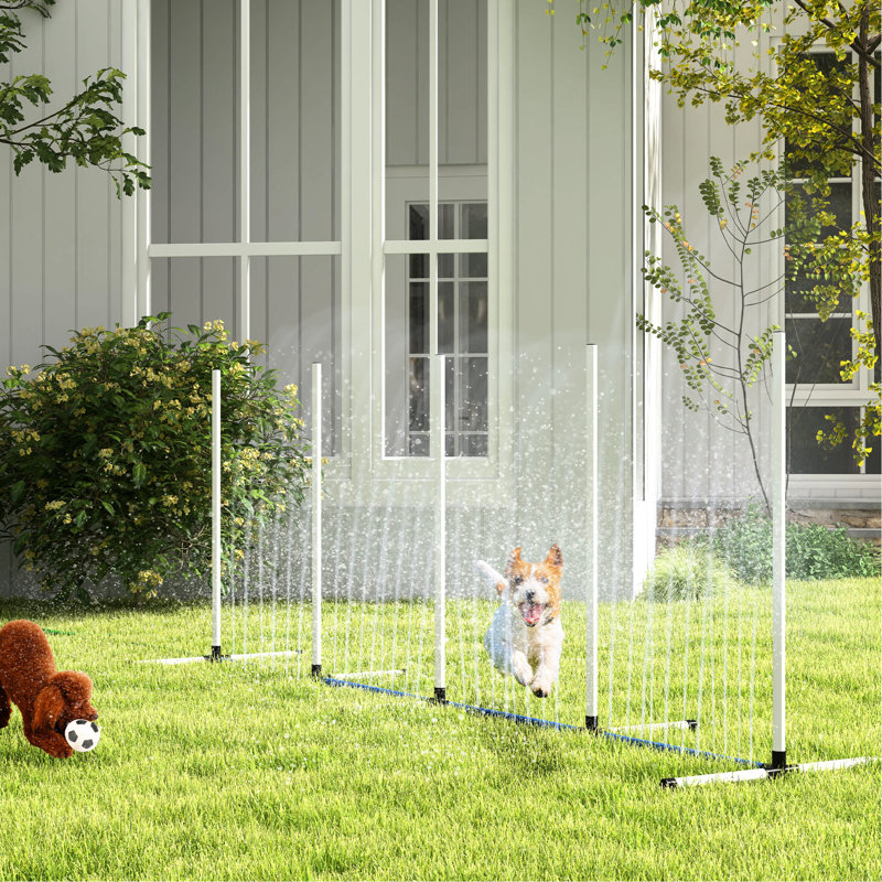 Entraînement pratique à l'agilité des chiens avec poteaux de tissage, tube à eau, sifflet, sac de transport, extérieur, fonction de jet blanc, pour jouer à l'extérieur,