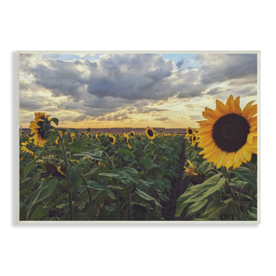 «Sunny Sunflower Patch Field» par Kali Wilson - photographie