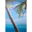 Eli Room Divider Privacy Screen Double Sided Digital Print-1194814423