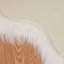 Solid Colour Standard Area Rug-21298876