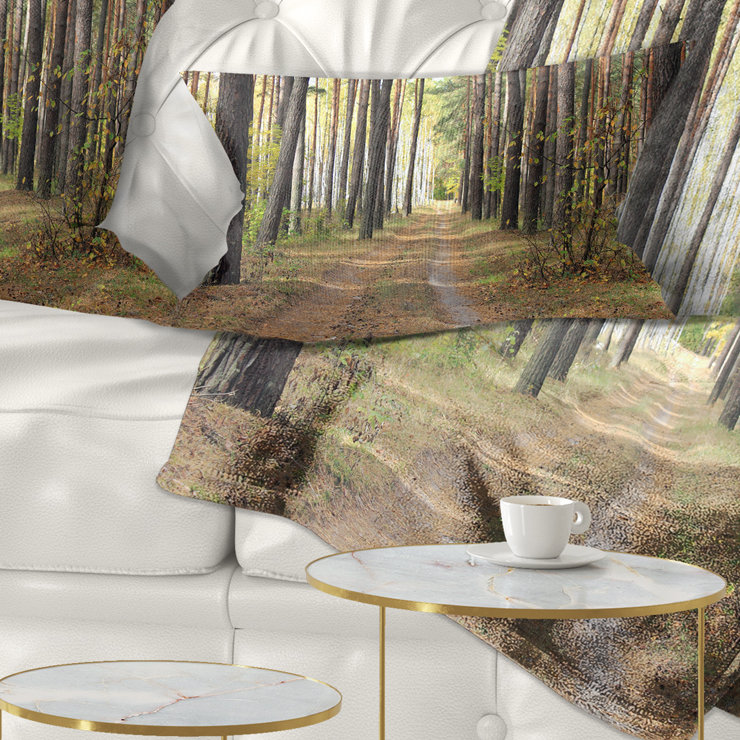 Reversible Throw Pillow