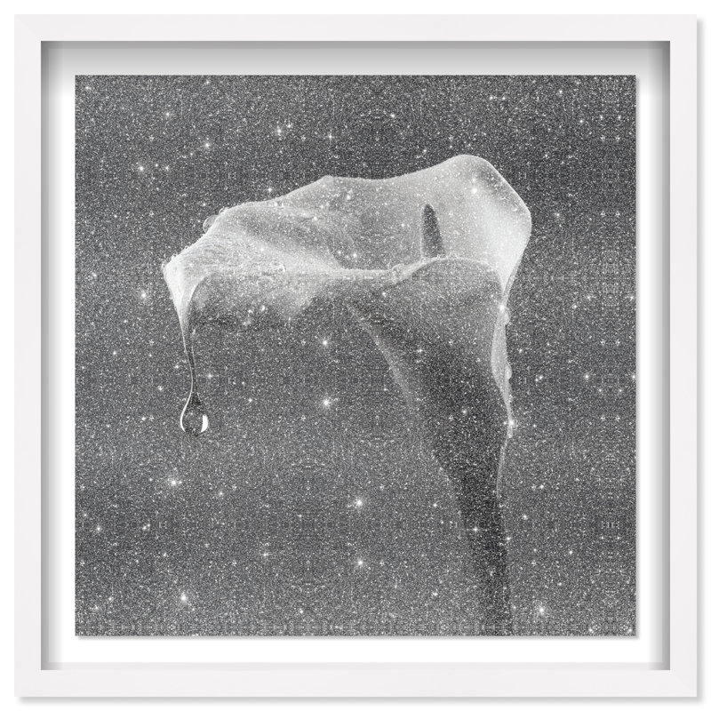 Midnight Rain Shadowbox Floral & Botanical Print by Oliver Gal, Black Frame, 12 x 12, 31.5"H x 31.5"W, White Shadowbox