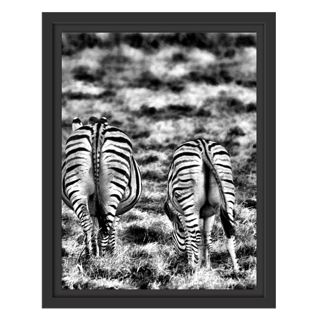 Gerahmtes Wandbild Zebras mit weißen Vögeln