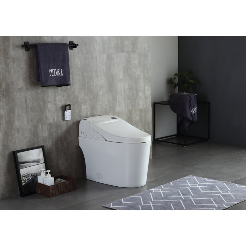 Toilette bidet allongée à double chasse