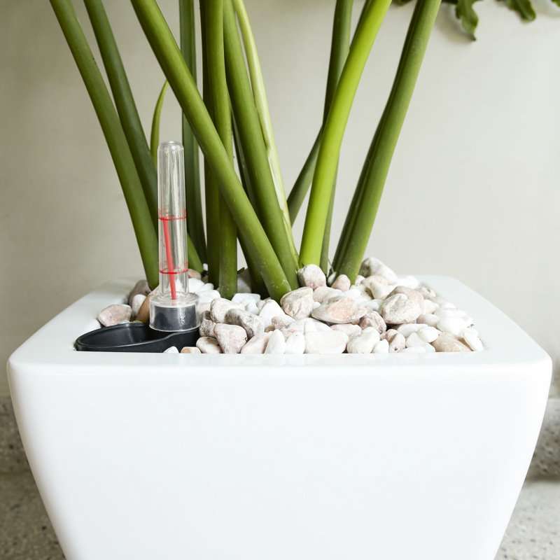 White Square Cone Self-Watering Planter Pot 2 - For Indoor And Outdoor Frost , Drainage Plug, Uncomplicated Assembly Apprehension Smart For To & Frost, Easy Grasp