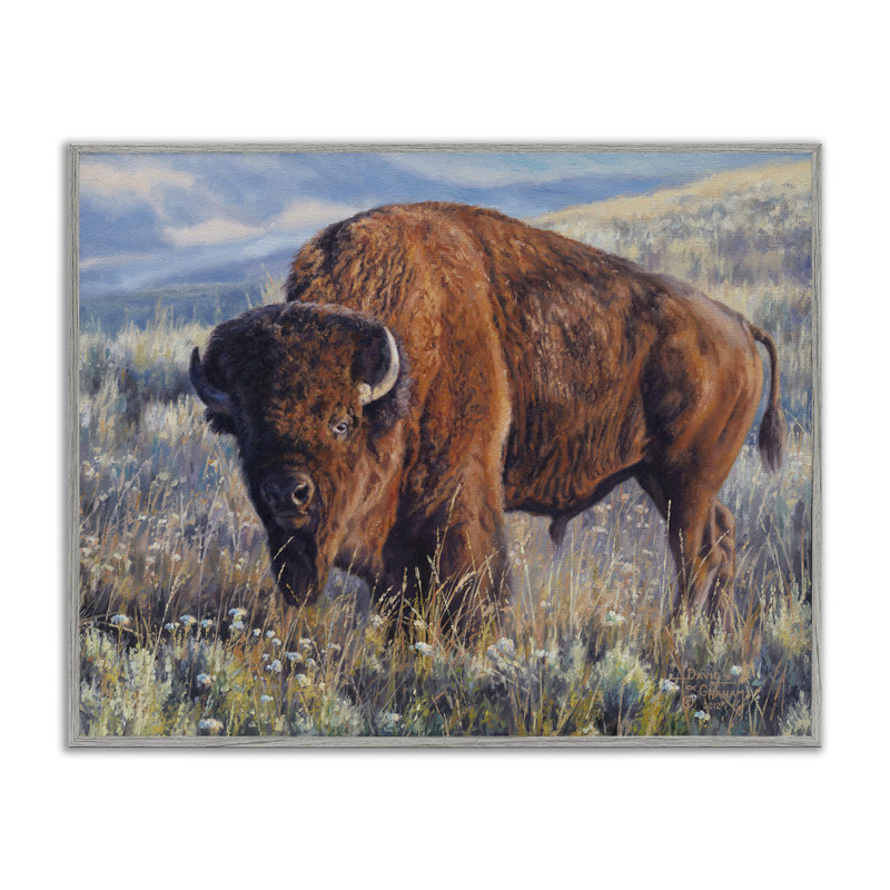 Bison des prairies, estampe numérique par David Graham, Estampe numérique Farmhouse, H 11 po x l 14 po