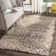 Tuthill Performance Floral Rug