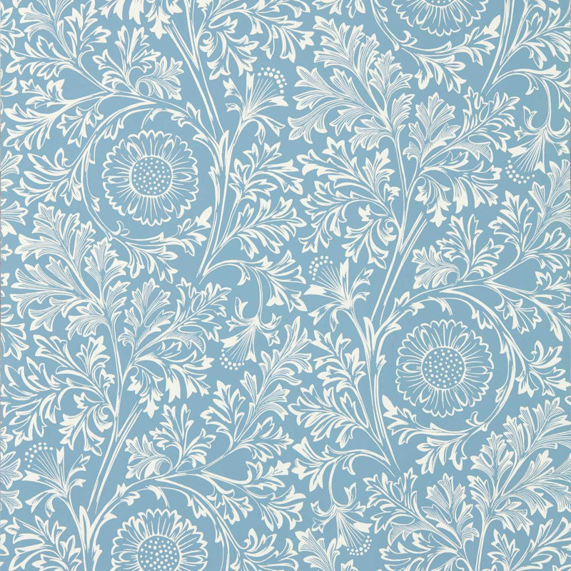 Chamomile, China Blue