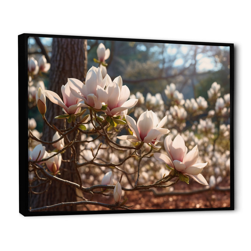 "White Pink Magnolias Landscape III", reproduction d'art sur toile, H 24 po x l 32 po x P 1 po, Cadre flottant noir