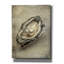 «Antique Shell» par Svetlana Aleynikova, art mural sur toile-179936487
