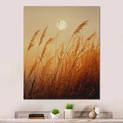 «Moon Honey Harvest Dreamscape I» sur métal