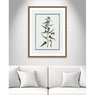 Colombe Shabby Elegance Botanical I - Art encadré avec fond perdu