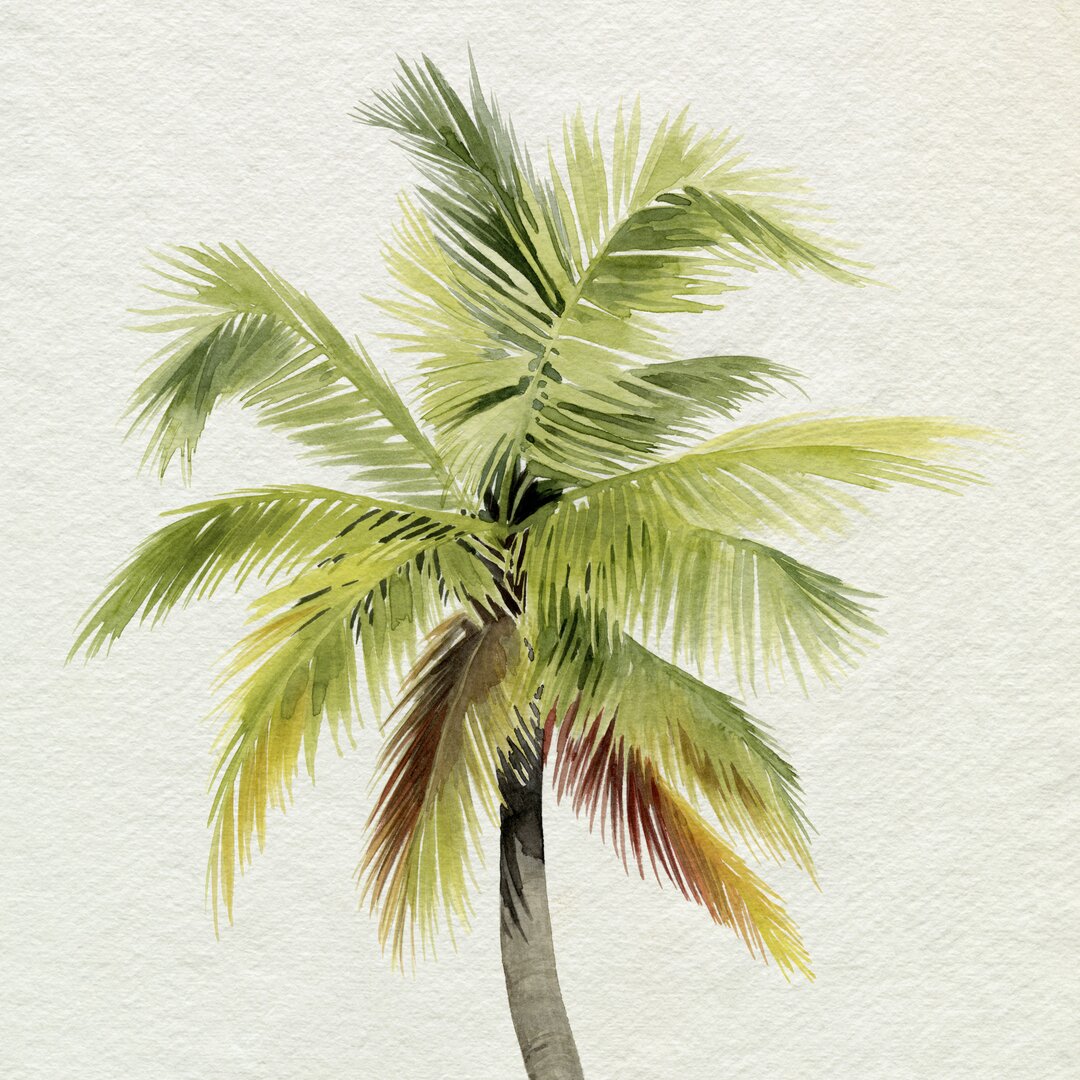 Leinwandbild Coco Palm I von Grace Popp