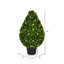 Buisson en forme de goutte de buis en forme de buisson-1015882173
