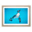 Swimming Penguin - Picture Frame Painting Print-55616726-55616731