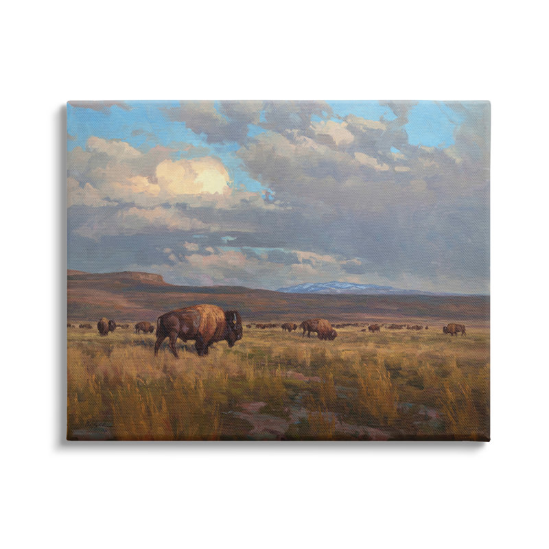 Buffalo, paysage nuageux sur toile, H 16 po x l 20 po x P 1,5 po