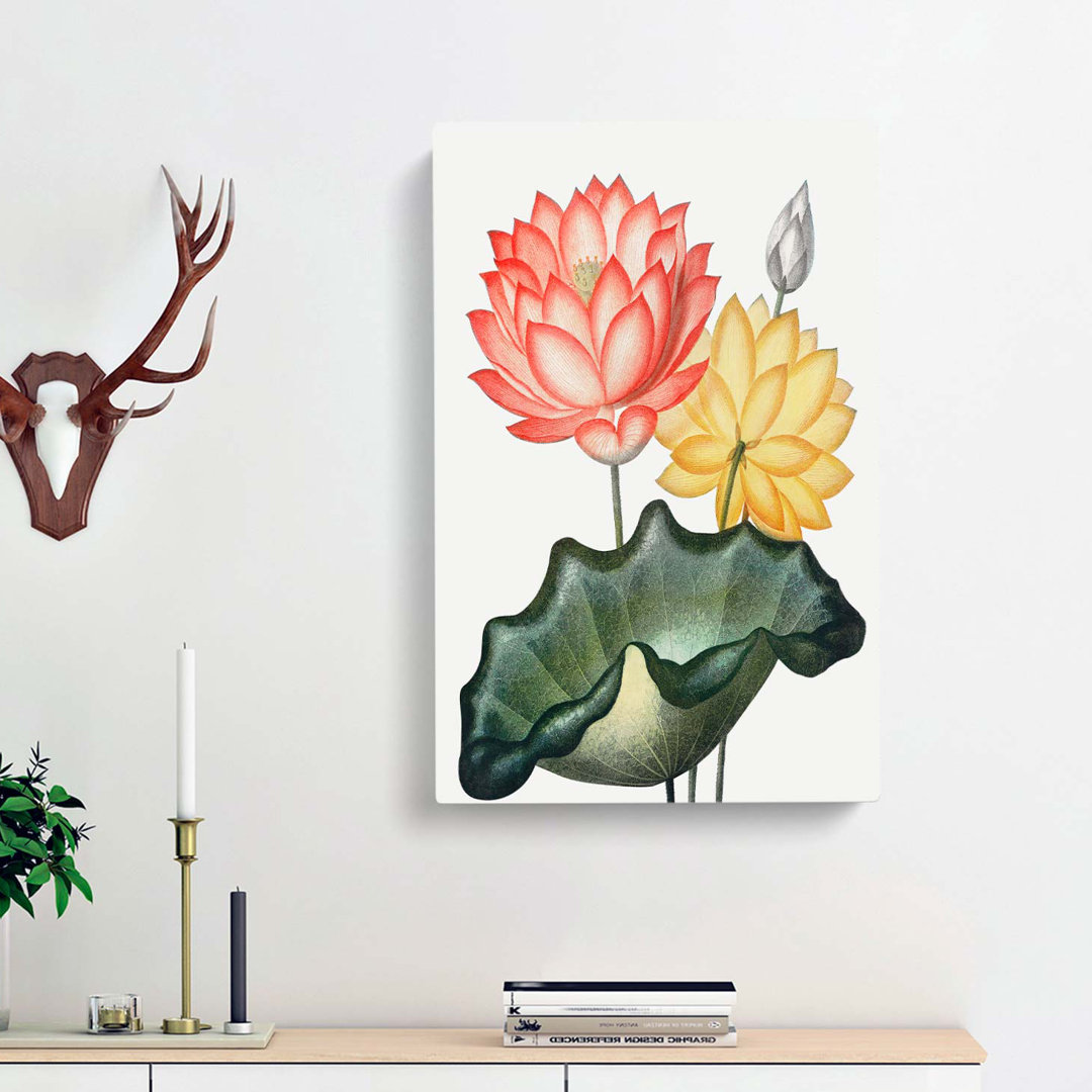 Egyptian Water Lilies by R.J. Thornton - Wrapped Canvas