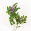 Arrangement floral de 36 po pour décoration de vase Bauhinia-121580967