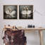  «Twin Swans with Reflections», ensemble de 2 toiles flottantes encadrées par Novae-613039529-613039575