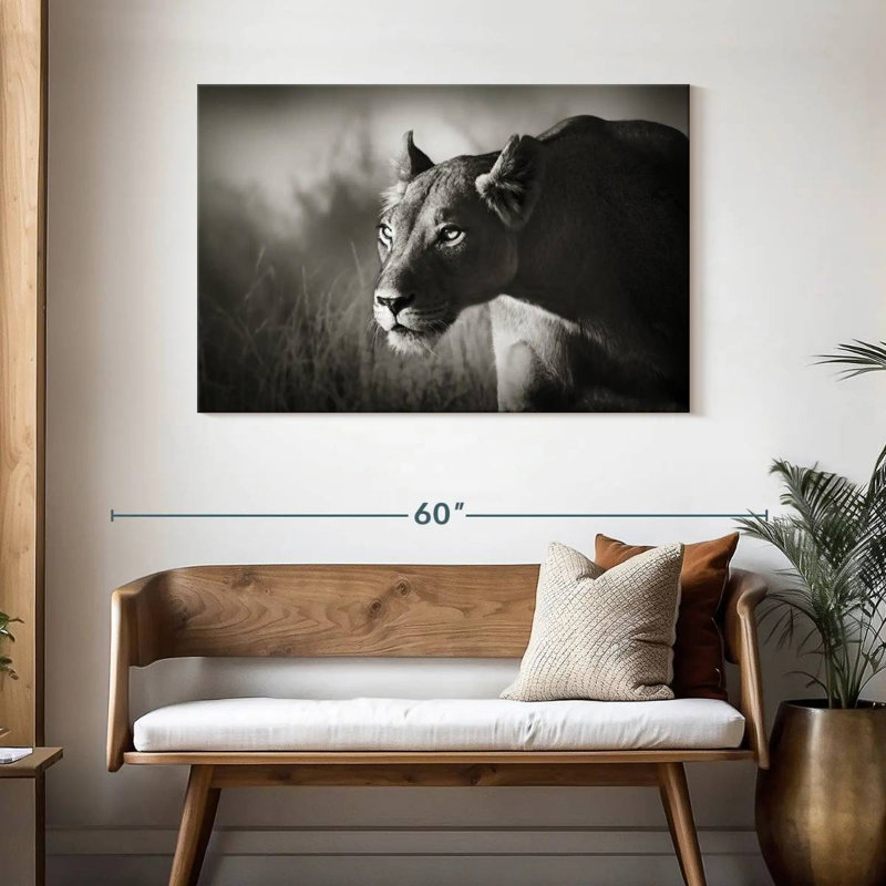 Brampt traçant la lionne