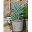 Meuric UV Resistant Stone Garden Statue
