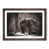 Walnut Framed