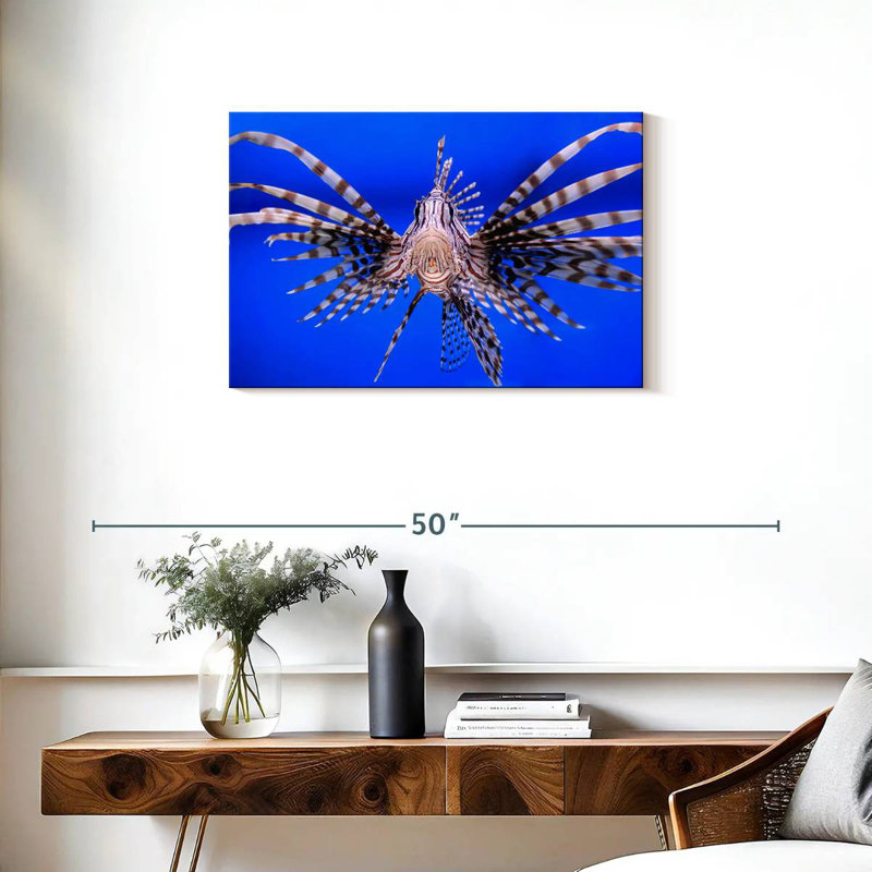 Crowle Lionfish Close Up, 20" H x 30" W