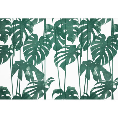 Feuille verte Monstera