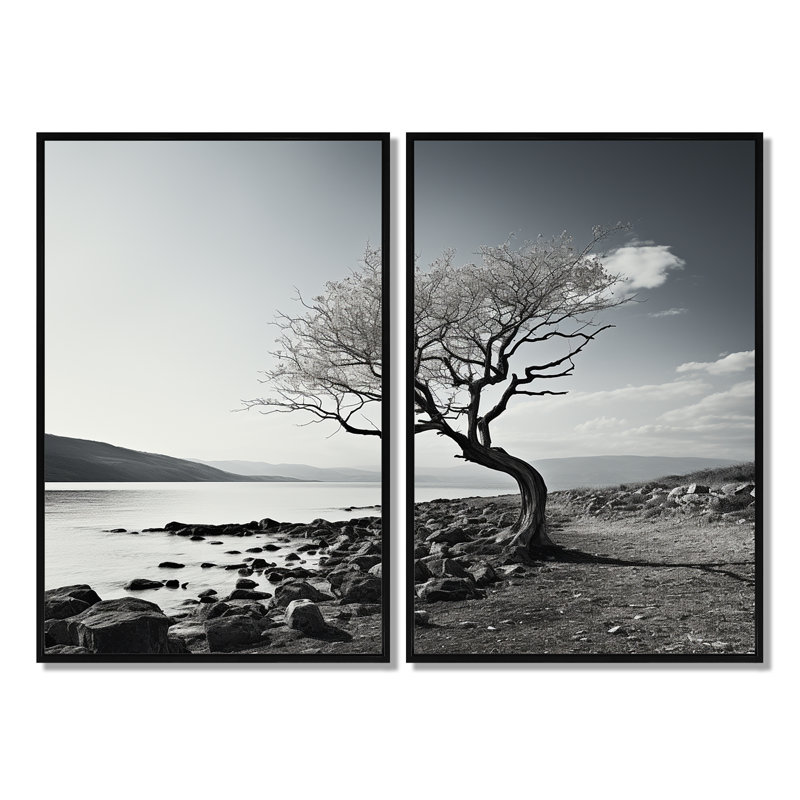 Magnifique arbre noir et blanc, photographie sur lac - Grand lac, 36" H x 48" W, Impression encadrée flottante, Black