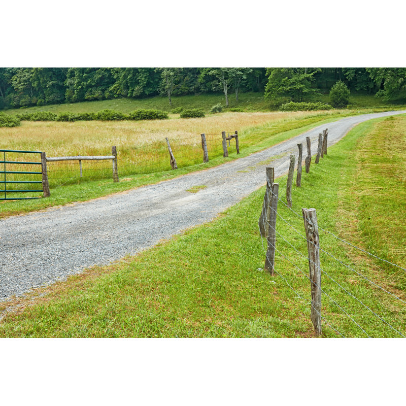Route de campagne Photo III, H 20 po x l 30 po x P 1,25 po