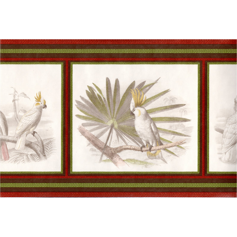 Bordure d'oiseaux tropicaux exotiques Wissem