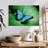 Blue Morpho On Leaf-1561926620