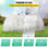 20 x 10 x 7 ft Walk-in Tunnel Greenhouse, 3 Top Beams, 2 Zippered Doors & 12 Roll-up Windows, Portable Plant Hot House with Galvanized Steel Hoops, Diagonal Poles, White
