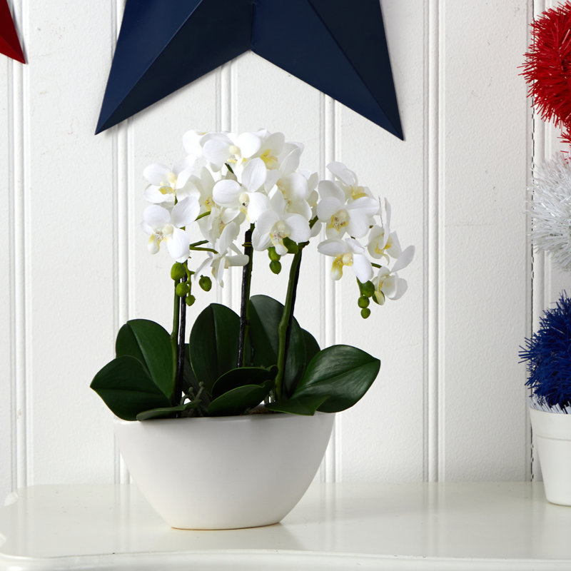  Phalaenopsis Silk Flower Arrangement