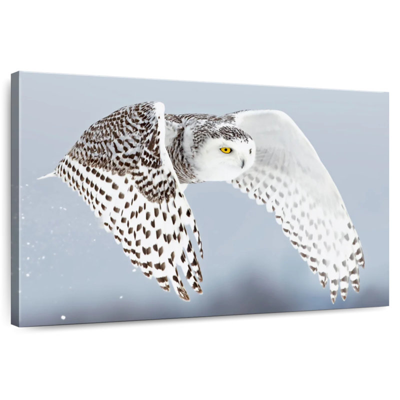 Brampt White Snowy Owl, 32" H x 48" W