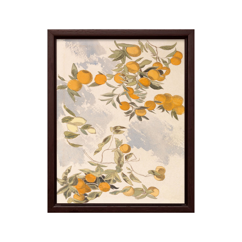 Oranges et citrons, Canevas, Encadrement brun, H 11 po x l 14 po