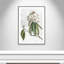 «Pearly Beauty II» par Eva Watts-129313427-129313469-129313484