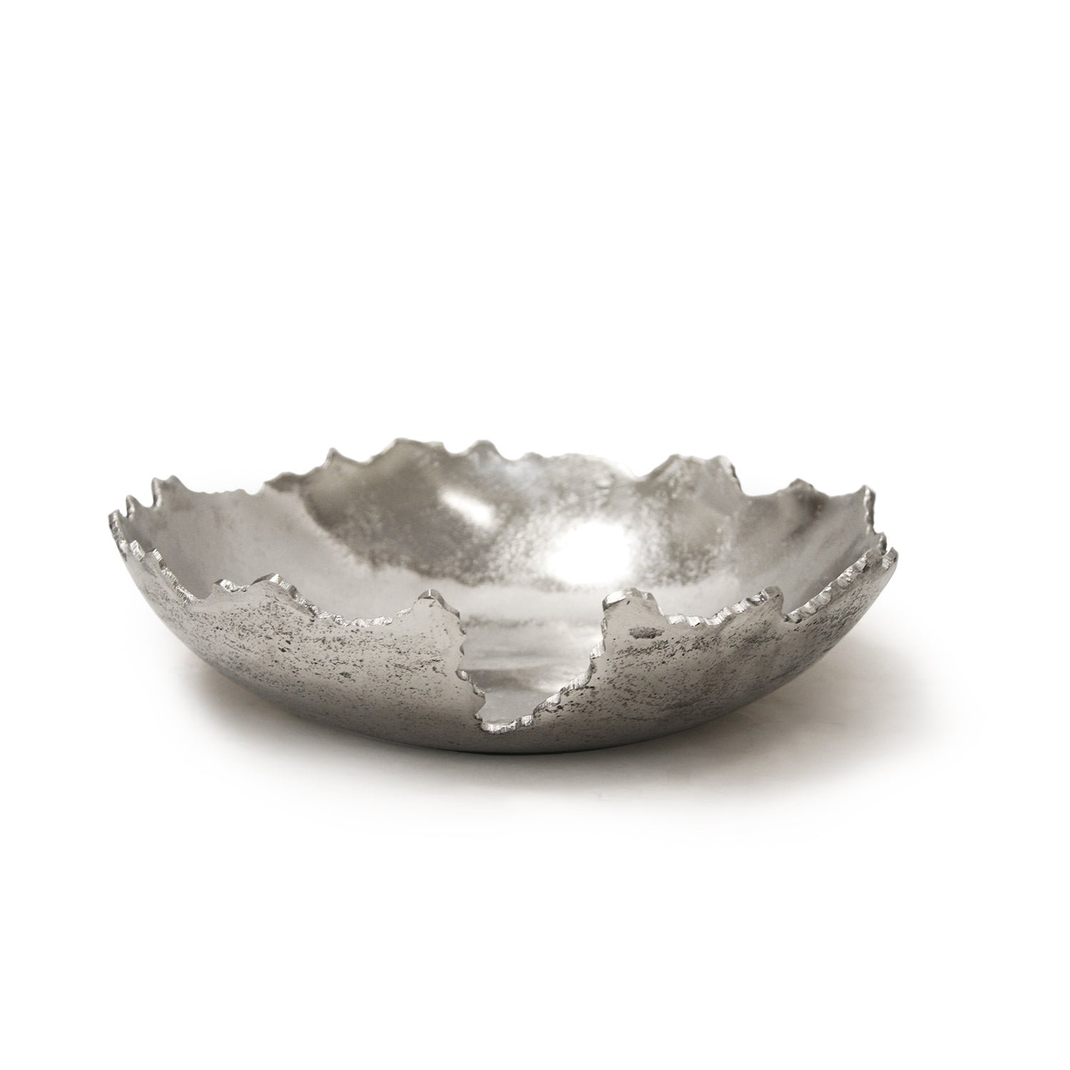 Everly Quinn Oliviarae Aluminum Decorative Plate & Reviews | Wayfair