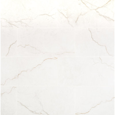 Beldale 12 in. x 24 in. Matte Porcelain Marble Look Floor and Wall Tile